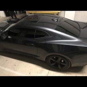 Meet your Posher, Logan